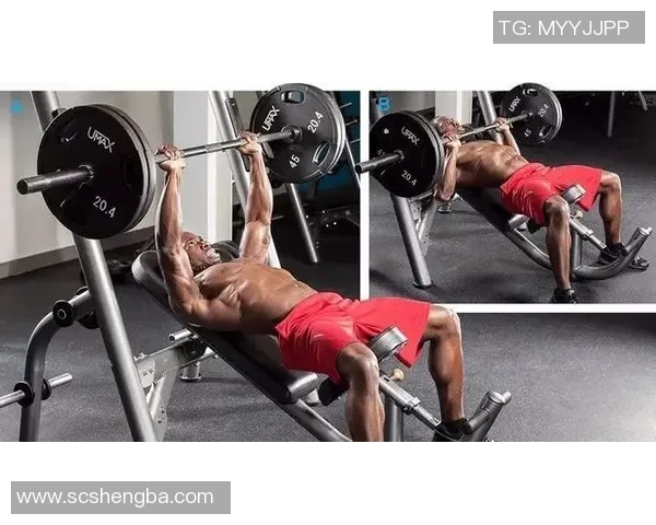 哑铃锻炼胸肌的最佳时间与频率分析助你快速增肌提升效果