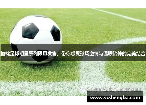 抱枕足球明星系列限量发售，带你感受球场激情与温暖陪伴的完美结合