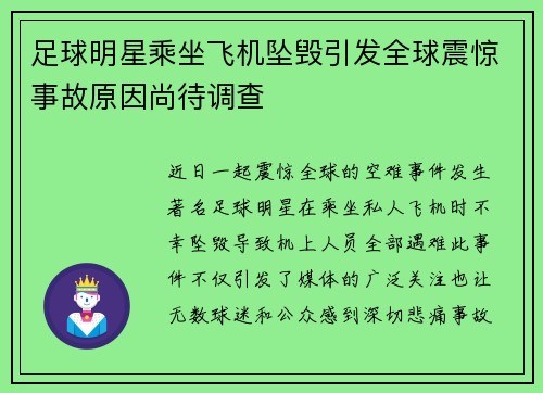 足球明星乘坐飞机坠毁引发全球震惊事故原因尚待调查